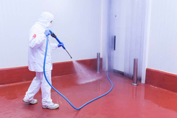 Best Rust Removal  in Novi, MI